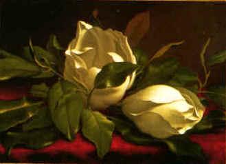 Martin Johnson Heade Magnolia hgh Germany oil painting art